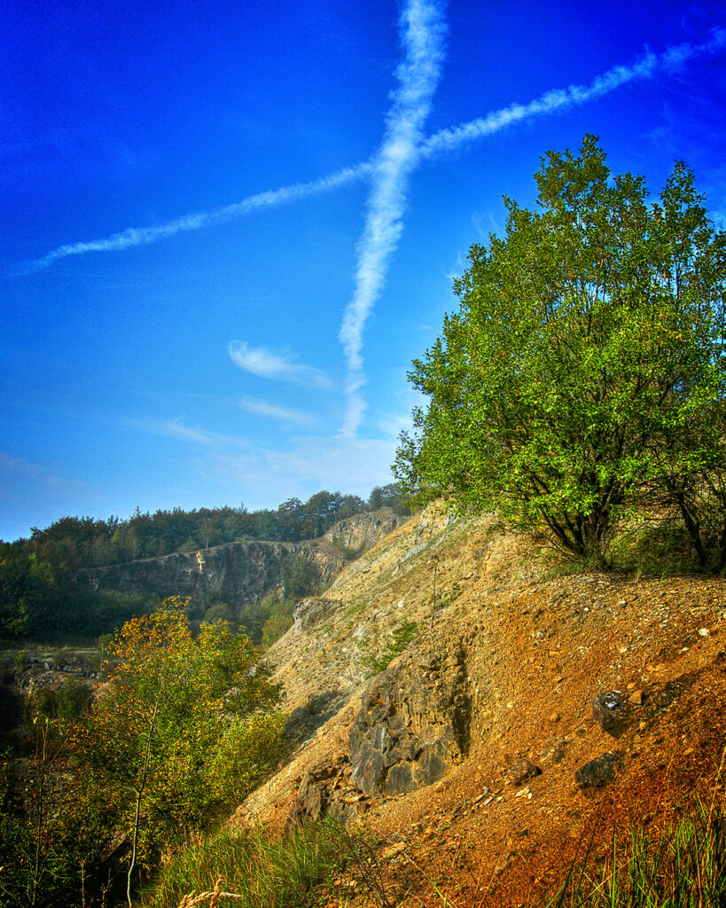 woodpic-6
